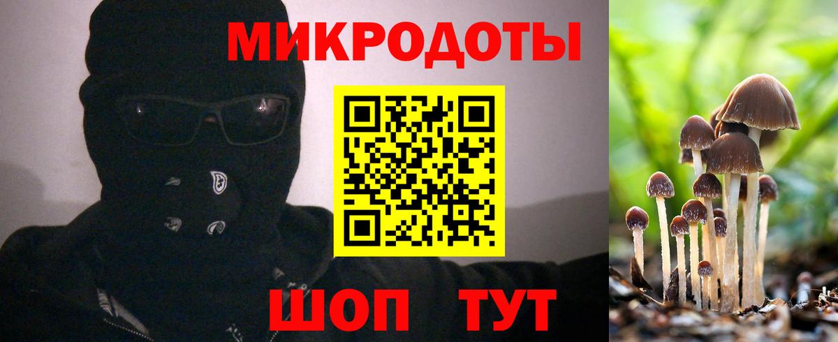 где можно купить наркотик  Псилоцибиновые грибы MAGIC MUSHROOMS  Вход с VPN  Курчалой 